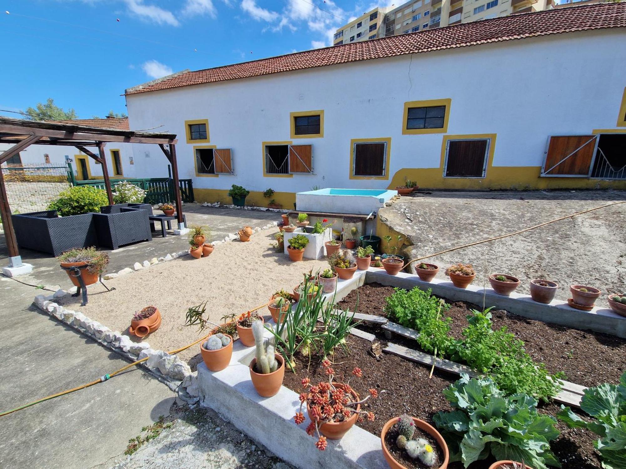 Horse Riding Country House Vila Franca de Xira Exterior photo