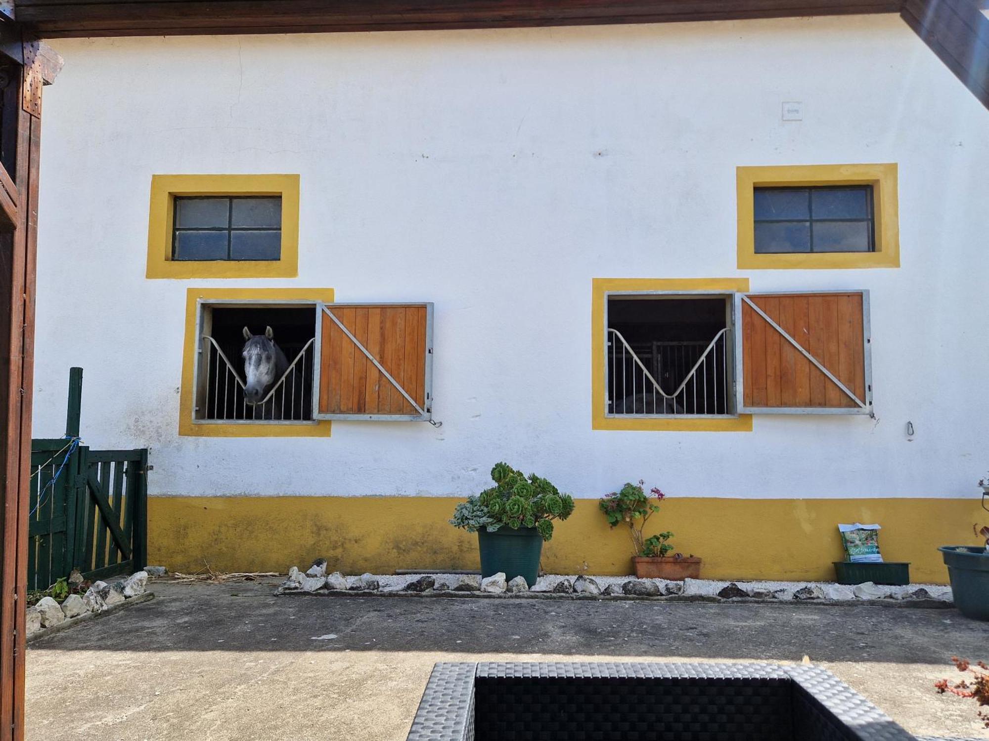 Horse Riding Country House Vila Franca de Xira Exterior photo